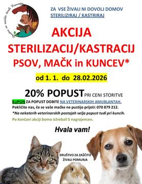Sterilizacija psov in mačk 2026